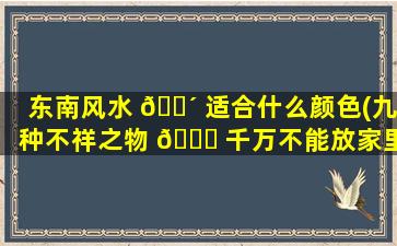 东南风水 🐴 适合什么颜色(九种不祥之物 💐 千万不能放家里)